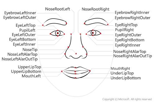 Facial Landmarks